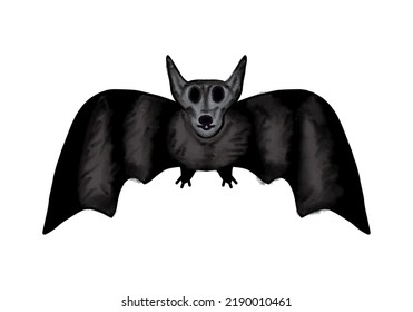 Bat, drawing in black and gray, on a transparent background, for the design of the Halloween holiday