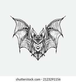 Bat drawing vector illustration. Creative design.