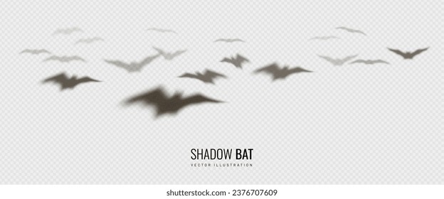 Bat element for Halloween. Shadow casting as decoration on a banner for the Day of All Dead celebrations. Blurred vector illustration