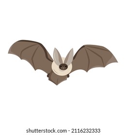 Ilustración plana en blanco. Ilustración vectorial para halloween, mística, niños, tarjeta, libro en estilo plano de caricatura.