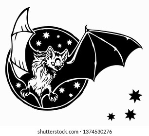 bat flies against the sky and stars