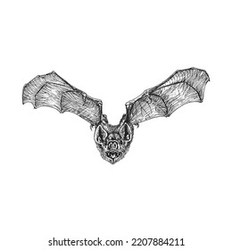 Batalla en vuelo, boceto vectorial. Ilustración dibujada a mano, símbolo de Halloween.