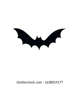 Bat flying on isolated white background. Vector illustration.