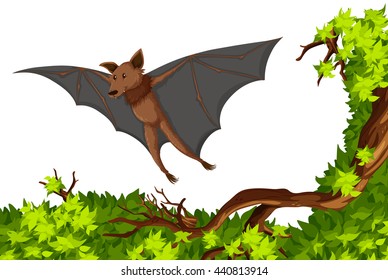 Bat flying over the tree illustration