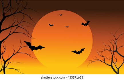 Bat and full sun at the afternoon Halloween scenery orange backgrounds