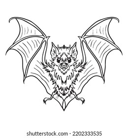 Bat Graphic Design Vector Illustration, Art Tattoo Sketch, Hand Draw, Print Use