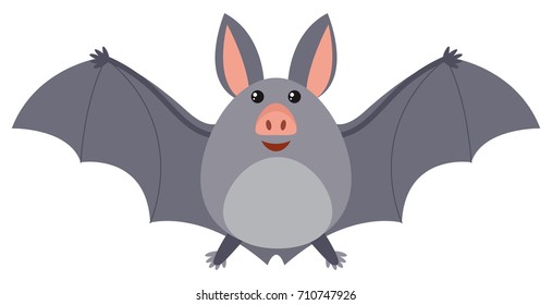 Bat with gray wings illustration