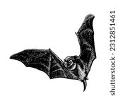 bat hand drawing vector isolated on white background.