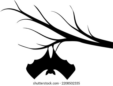 Bat hanging branch  Halloween  For your design  On white background 