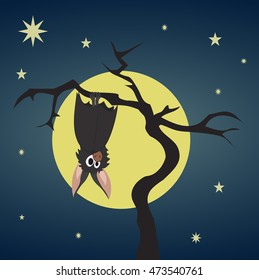 Bat hanging on a dry tree