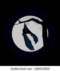 bat hanging on tree branch against full moon - halloween theme vector design