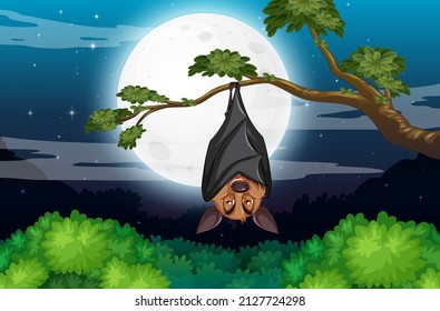 A bat hanging tree at night scene illustration