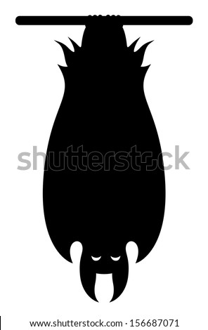 Image, Stock Photo Bat hanging from the ceiling