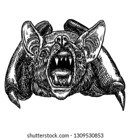 Bat head or face drawing. Gothic illustration of aggressive monsters for the Halloween. Witchcraft magic, occult attributes decorative elements. Drawing of night creatures with open fangs. 