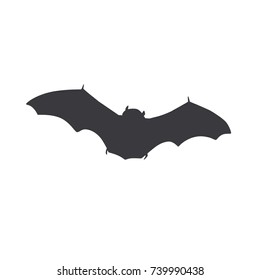 Bat icon, vector illustration design. Halloween collection.