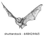 Bat illustration, drawing, engraving, ink, line art, vector