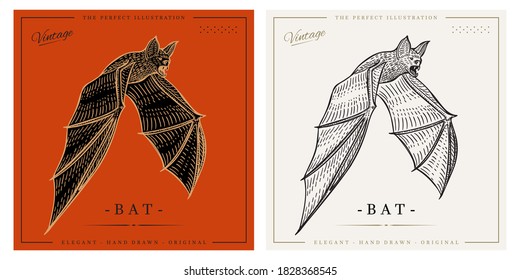 Bat illustration sketch vintage retro detailed engraved style illustration