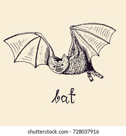 Bat with inscription, woodcut style design, hand drawn doodle, sketch in pop art style, isolated black and white vector illustration