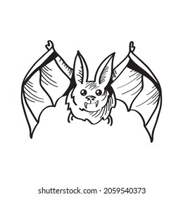 Bat line illustration in sketch style on white background. Vector illustration design template. 