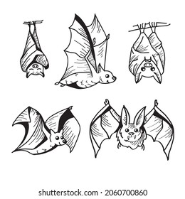 Bat Line Illustration Sketch Style On Stock Vector (Royalty Free ...