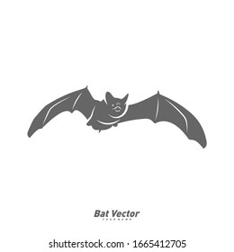 Bat logo vector template. Silhouette of bat design illustration