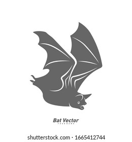 Bat logo vector template. Silhouette of bat design illustration