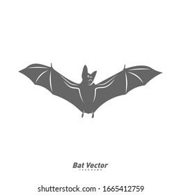 Bat logo vector template. Silhouette of bat design illustration