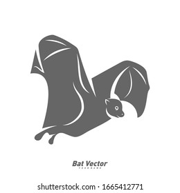 Bat logo vector template. Silhouette of bat design illustration