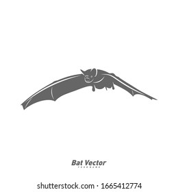 Bat logo vector template. Silhouette of bat design illustration