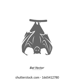 Bat logo vector template. Silhouette of bat design illustration