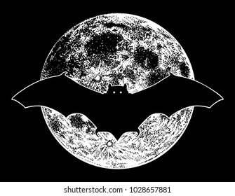bat with moon background