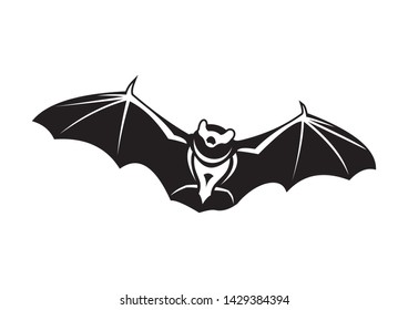 Bat at night looking for prey.