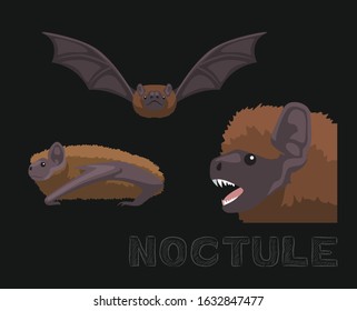 Bat Noctule Cute Cartoon Illustration