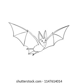 Bat is a nocturnal animal. A symbol of Halloween. The bat in flight