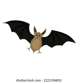 A bat is on the white background.