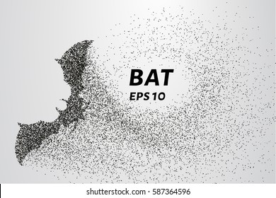 Bat out of particles. Bat consists of circles and points. Vector illustration.