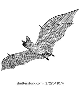 Bat polygonal lines illustration. Abstract vector bat on the white background