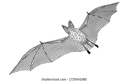 Bat polygonal lines illustration. Abstract vector bat on the white background