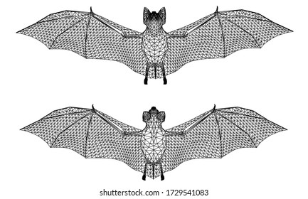 Bat polygonal lines illustration. Abstract vector bat on the white background