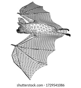 Bat polygonal lines illustration. Abstract vector bat on the white background