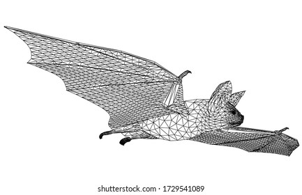 Bat polygonal lines illustration. Abstract vector bat on the white background