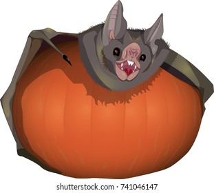 bat with  pumpkin