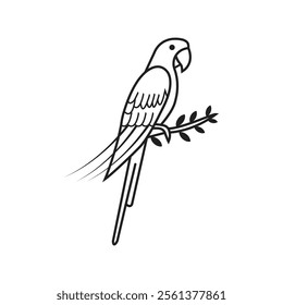 Bat selotte vector design pearrot crow