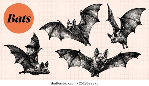 bat set collection with bats fly in different poses spread wings hand drawn line art detailed sketch illustration modern trendy poster template card design on cell background