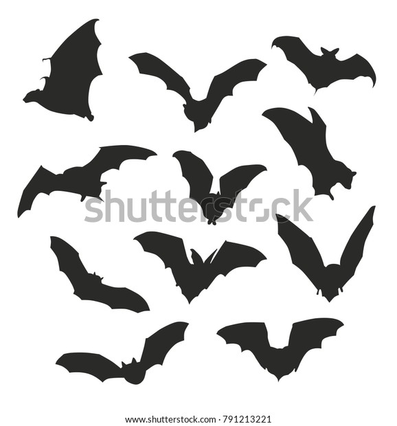 Bat Shadow Silhouette Night Midnight Tropic Stock Vector (Royalty Free ...