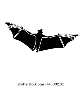 Bat  silhouette 