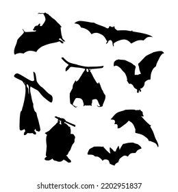 bat silhouette illustration collection design