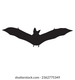 bat silhouette isolated black on white background