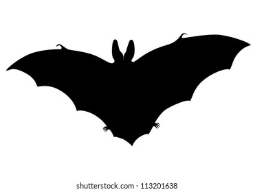 Bat silhouette (Plecotus auritus,austriacus)