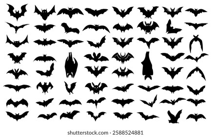 Bat Silhouette Set Collections Bat Shadow Bundle